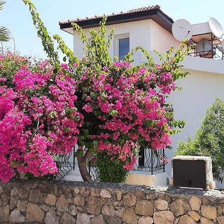 Villa Bougainvillea With Privite Pool Vasilia エクステリア 写真