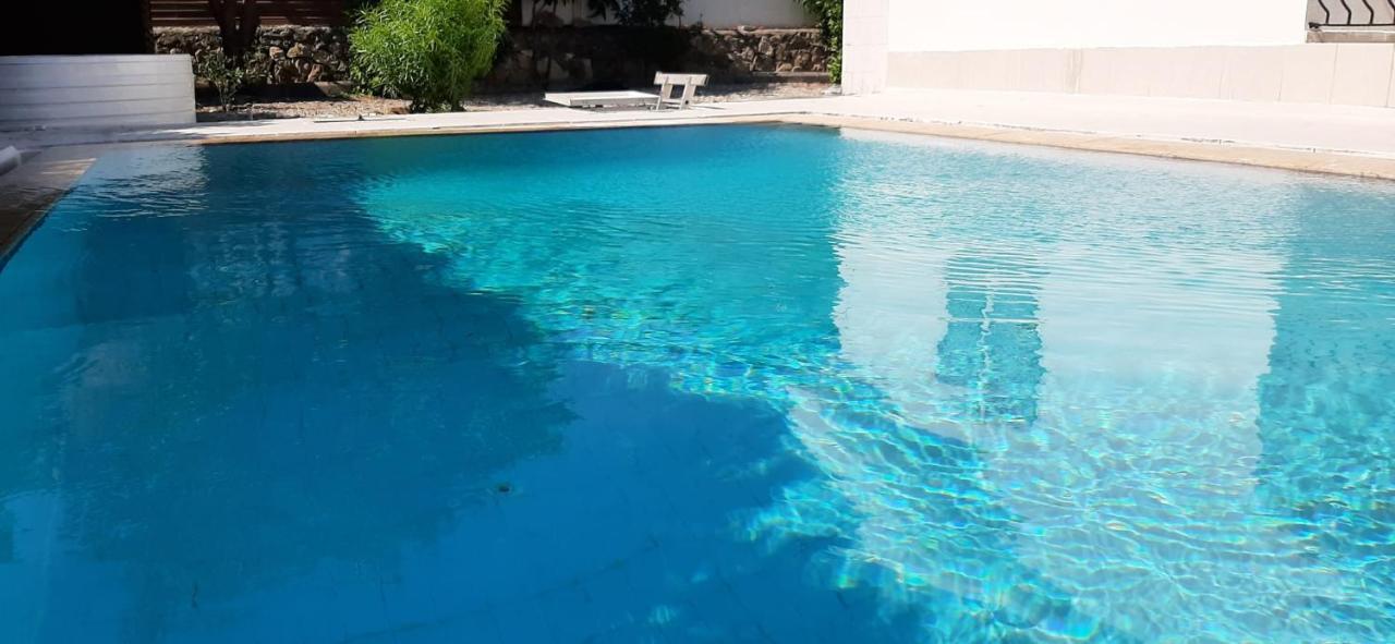 Villa Bougainvillea With Privite Pool Vasilia エクステリア 写真