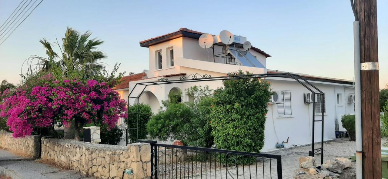 Villa Bougainvillea With Privite Pool Vasilia エクステリア 写真